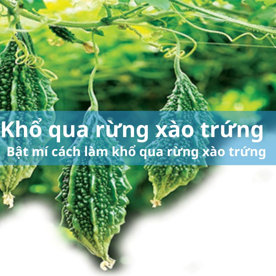 kho-qua-rung